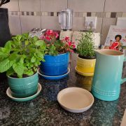 LC HERB PLANTER